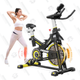 Magnetic Resistance Exercise Bike | $255 | Amazon